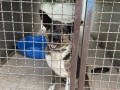 IMG-1179