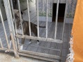 IMG-1180